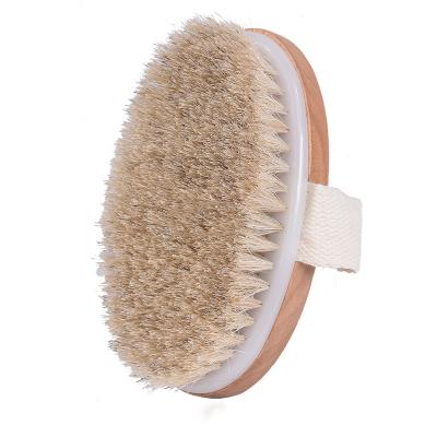 China All Natural Oval Shape Horse Bristle Wooden Body Brush For Bath for sale