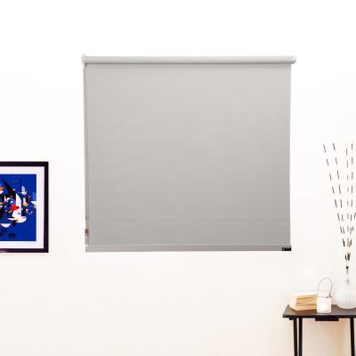 China Manual Roller Shade Pattern Horizontal Roller Blinds Shade Curtain Pane For Living Room for sale