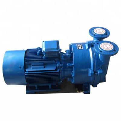 China Food and Beverage Industry 2BV Series Liquid Ring Vacuum Pump for Paper Making Industry for sale