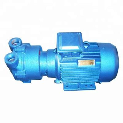 China Food and Beverage Industry 2BV Series Direct Link Vacuum Pump, Direct Link Water Ring Vacuum Pump for sale