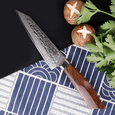 China Sustainable Daily Kitchen Cut Use Paring Knives Damascus Steel 5 Inch 67 Layers Drop Ironwood Handle Kitchen Serving Knife for sale