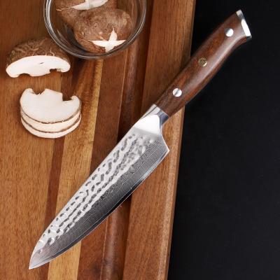 China Direct Viable Factory Shipping 67 Layers Damascus Steel Chef Kitchen Knives 5 Inch Santoku Demascus Knife for sale