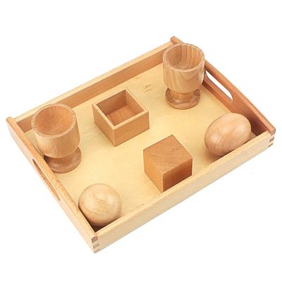 China Non-Toxic Eco-Friendly Educational Montessori Toys Children Objects Exercise Toy Set Ability Development Suitable Sensory Montessori Teaching Tools for sale