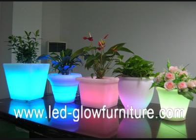 China Beautiful Color changing led lighted flower pots outdoor  ,Illuminated LED Ice Bucket / cooler for sale