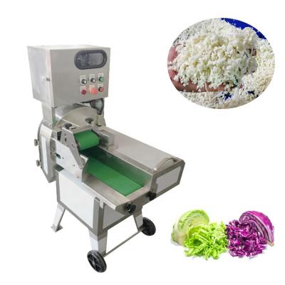 China Adjustable Industrial Coriander Cabbage Parsley Pepper Size Onion Vegetable Chopper Machine For Foodstuffs Processing for sale