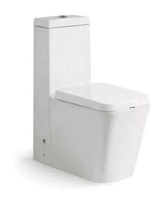 China Porcelain Sanitary Washdown Double-Flow One Piece Ware Toilet For Home Office Building for sale