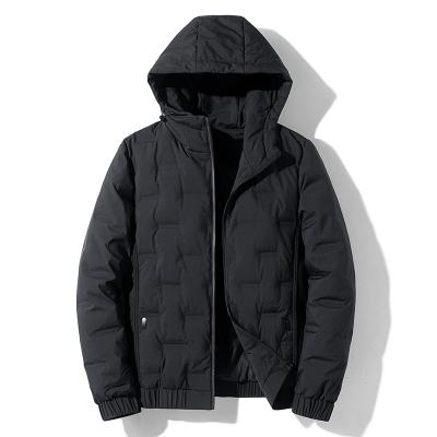 China 2022 winter men's jackets and coats QUICK DRY waterproof black zipper men's jackets and coats with hood for sale