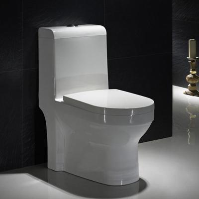 China S Trap Standard Size One Piece Elongated Toilet Floor Mounted Commode for sale