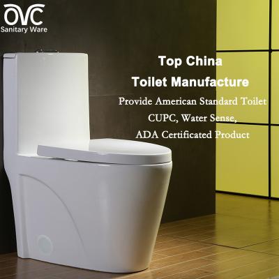 China Elongated Dual Flush One Piece Toilet Water Saving Patented Technology for sale