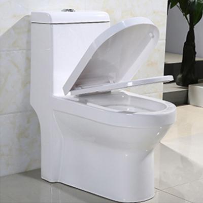 China White 1 One Piece Dual Flush Comfort Height Toilet S Trap 300mm 10