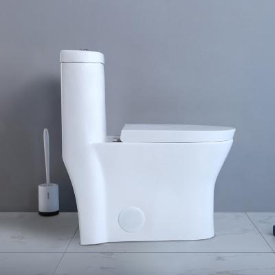 China Siphonic Round American Standard One Piece Dual Flush Toilet Elongated Bowl for sale