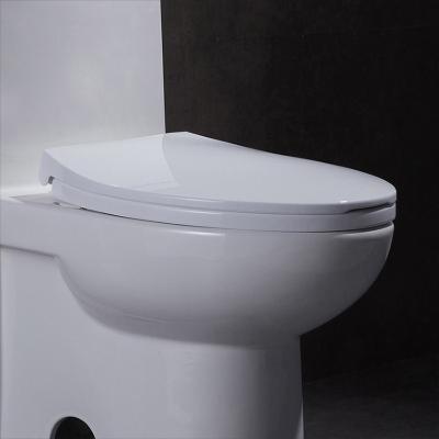 Chine Toilette d'une seule pièce ovale 10 de Siphonic rugueuse dans la preuve de fuite doucement fermante à vendre