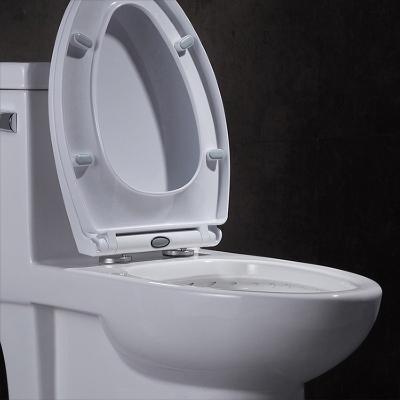 China Watersense Dual Flush Siphonic One Piece Toilet Ada Silence Slow Down Cover for sale