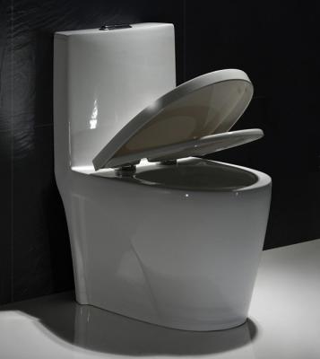 China Map1000 Dual-Flush Elongated One-Piece Toilet Seat Included Small Bathroom for sale