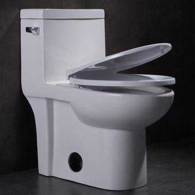 China Elongated Skirted Siphonic One Piece Toilet Comfort Height Round Flushing for sale