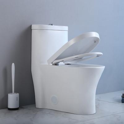 China 10 Inch Rough In One Piece Elongated Toilet S Trap Floor Mounted Wc Siphonic for sale