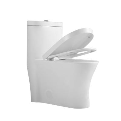 China Cuarto de baño de una pieza de Ada Comfort Height Toilet Elongated de 19 pulgadas de cerámica en venta