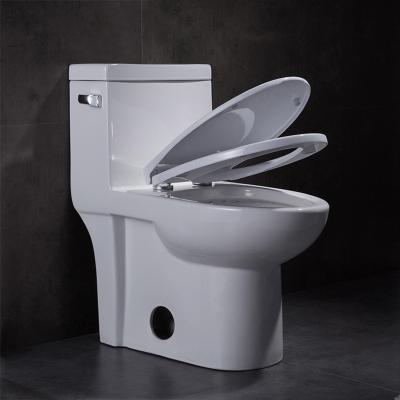 China 1 One Piece Elongated Toilet 15