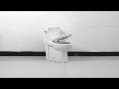 Dual Flush Elongated One Piece Toilet With Soft Closing Seat 1.28gpf/4.8lpf