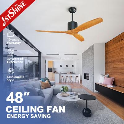 China Remote Control OEM Decorative Ceiling Fan Without Light 3 Speed Choice for sale