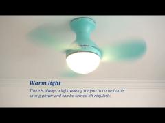 Quiet DC Motor Led Light Small Ceiling Fan Decorative For Morden Room