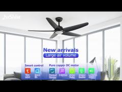 LED 5 Blade Ceiling Fan , Living Room Quiet High Speed DC Ceiling Fan