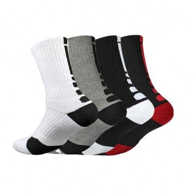 China Cheap Cutie HJ Gym Socks Antibacterial Cotton Sports Men's Sock for sale