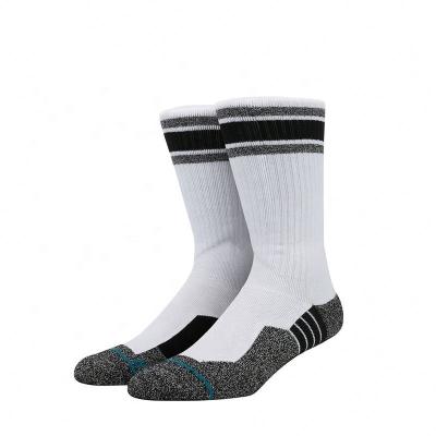 China Cutie Antibacterial Skate Socks Skateboard Socks for sale