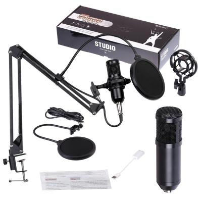 China Handheld Microphone for Mic Condenser Studio BM-800 Foldable Microphone Tiktok Show Pro Audio Microphone with Sound Recording Arm Stand Filter for sale