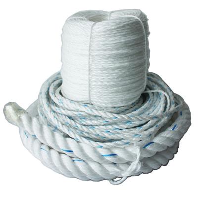 China Hot Sale High Tensile 3 Strand Twisted PP Danline Rope White With Blue Tracer for sale