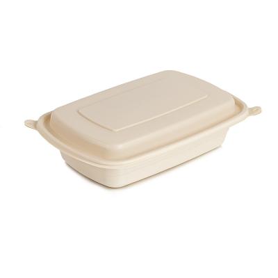 China Double Layers Bioisposable Cornstarch Heatable Lunch Box Eco Friendly Bento Box Food Container Sandwich Hamburger Food Packaging Boxes for sale