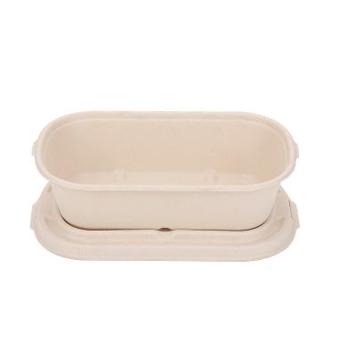 China Disposable Biodegradable Heatable Take Out Lunch Box Sugar Cane Bagasse Pulp Food Packaging Box Container Lunch Box With Lid for sale