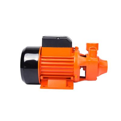 China High Efficiency 750W 1HP Finder QB80 High Performance Electric Motor Vortex Water Pump for sale