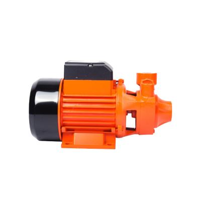 China High Efficiency Finder QB70 High Performance 550W 0.75HP Electric Motor Vortex Water Pump for sale