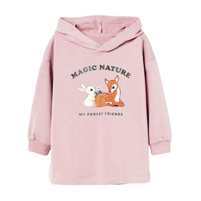 China Sustainable High Neck Sweatshirt Hoodies Set Cool Fleece Kids Long Hoodie Dress for sale