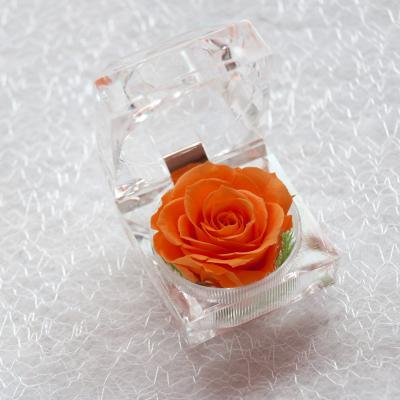 China Preserved Rose Valentine's Day Gift Claim Acrylic Rose Gift Ring Box for Girlfriend Valentine's Day for sale