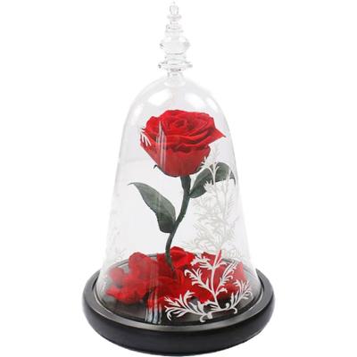 China Festival Gift for Wife 2022 Valentine's Day Birthday Christmas Gift Hot Selling Beauty and Eternal Beast Flower in Glass Dome for Wife/Girlfriend for sale