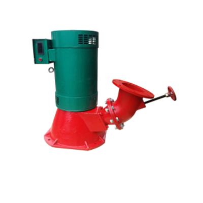 China Iron Casting Micro Hydro Power Plants 10kw Turbine Freshwater Hydro Generator for sale