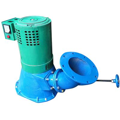 China Micro Iron Casting 10kw Hydropower Plants Inclined Hydro Turbine Water Turbine Generator for sale