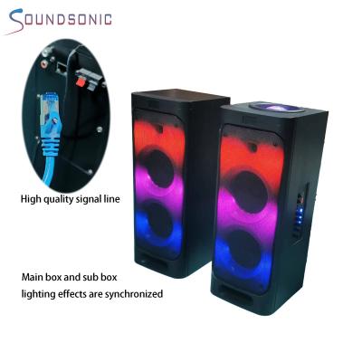 China Hot Sale 30W*2 Double LED Flashing Light 8 Inch Speaker With 6 Different Mode Flame Light With Lamp Ball Radio BT for sale