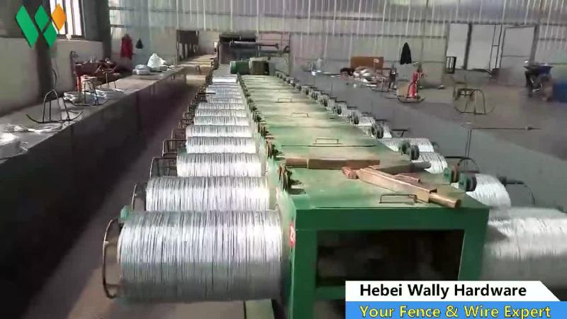 Verified China supplier - Hebei Wally Hardware Co., Ltd.