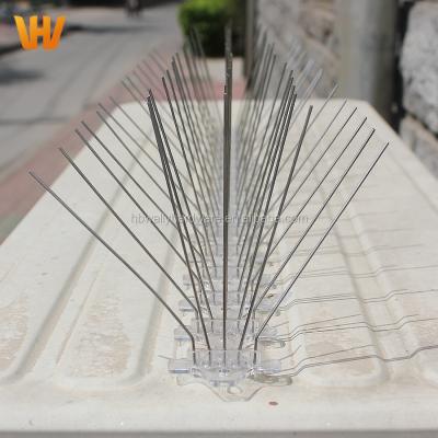 China Disposable Commercial Assurance 50 Cm Stainless Steel Anti Bird Spikes for sale