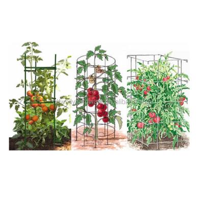 China Tomato Prop 48-Inch With 6-Inch Hoop Plant Support Plant Prop for sale