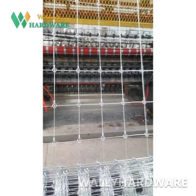 China Easily Assembled Galvanized High Tensile Steel Fixed Knot Graduated Mesh Deer Fence for sale