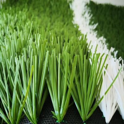 China 20stitches/m Stitch Rate 55mm Artificial Turf for Soccer Field Synthetic Grass for sale