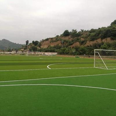 China 50mm Height Soccer Field Artificial Turf with SGS Certification Competitive for sale