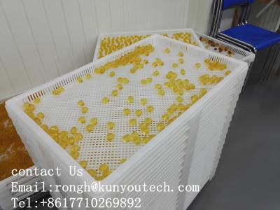 China ISO9001 PPE 75 * 55 * 5cm Plastic Drying Trays for sale