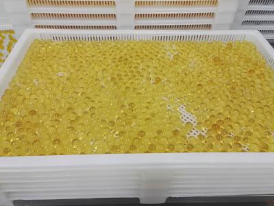 China Pharmaceutical medicine Plastic Drying Trays with holes for good drying for sale