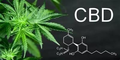 China Máquina de la encapsulación de la cápsula de Softgel del aceite de CBD con el sensor inferior de la IDT aprobado por la FDA en venta