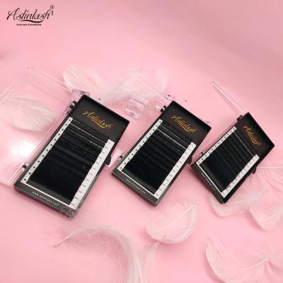 China Ellipse Totally Soft Eyelash Extensions16 Row Lash Extension Mink Individual Flat Lashes 0.2mm CC Curls Mixed13-20mm Black Matte for sale